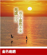 企業(yè)年金集合計劃產品詳情