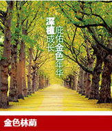 企業(yè)年金集合計劃產品詳情