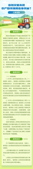 自然災害來襲，農戶如何保障自身權益？